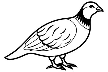 partridge silhouette line art vector illustration with a white background