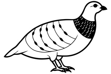 partridge silhouette line art vector illustration with a white background