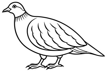 partridge silhouette line art vector illustration with a white background