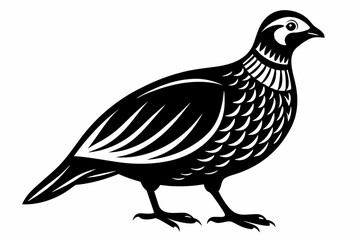 partridge silhouette line art vector illustration with a white background