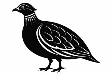 partridge silhouette line art vector illustration with a white background