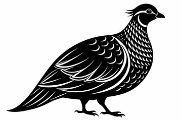 partridge silhouette line art vector illustration with a white background