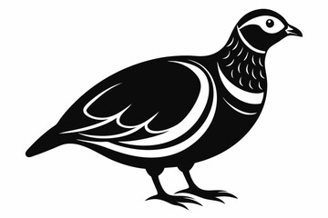 partridge silhouette line art vector illustration with a white background