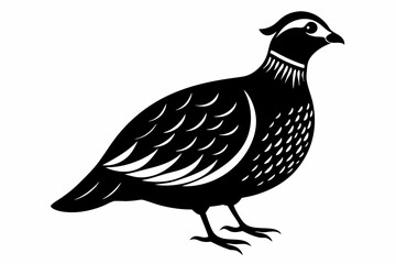 partridge silhouette line art vector illustration with a white background