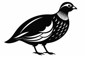 partridge silhouette line art vector illustration with a white background