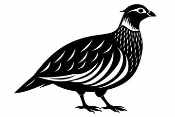 partridge silhouette line art vector illustration with a white background