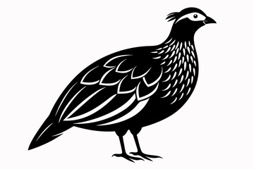 partridge silhouette line art vector illustration with a white background