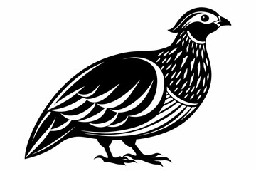 partridge silhouette line art vector illustration with a white background