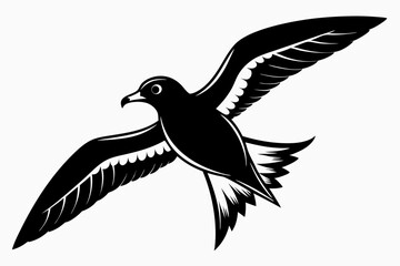 petrel silhouette line art vector illustration with a white background