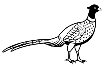 pheasant silhouette line art vector illustration with a white background