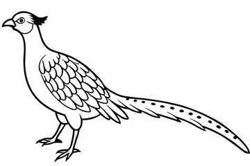 pheasant silhouette line art vector illustration with a white background