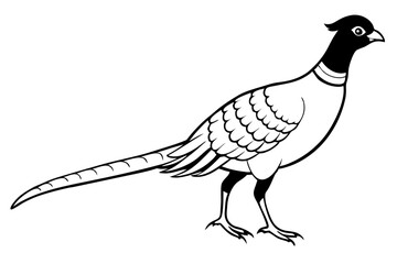 pheasant silhouette line art vector illustration with a white background