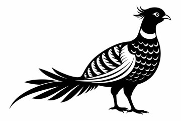 pheasant silhouette line art vector illustration with a white background