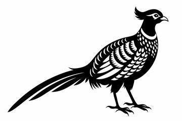 pheasant silhouette line art vector illustration with a white background