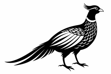 Fototapeta premium pheasant silhouette line art vector illustration with a white background