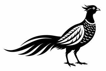 pheasant silhouette line art vector illustration with a white background