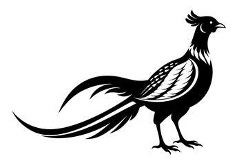 pheasant silhouette line art vector illustration with a white background