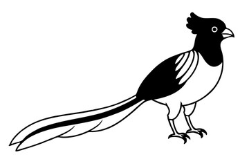 quetzal silhouette line art vector illustration with a white background