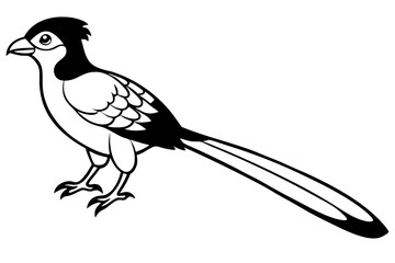 quetzal silhouette line art vector illustration with a white background