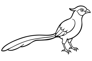 quetzal silhouette line art vector illustration with a white background