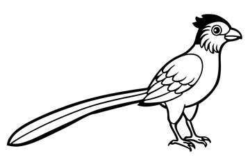 quetzal silhouette line art vector illustration with a white background