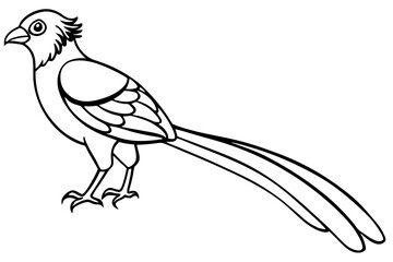quetzal silhouette line art vector illustration with a white background