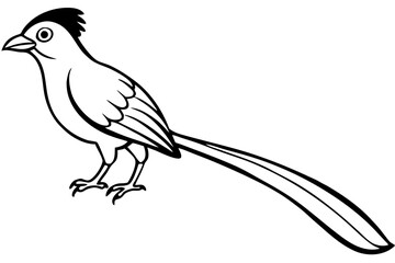 quetzal silhouette line art vector illustration with a white background