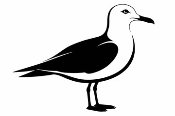 seagull silhouette line art vector illustration with a white background