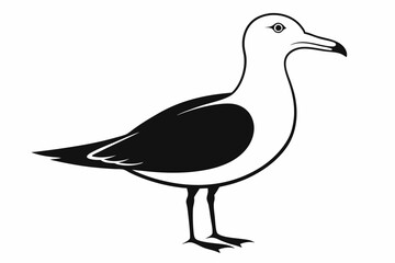 seagull silhouette line art vector illustration with a white background