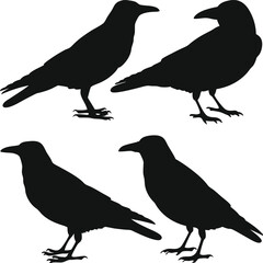 Obraz premium Bird Silhouette Svg 