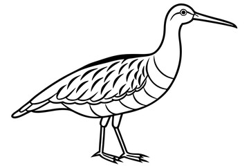 woodcock silhouette line art vector illustration with a white background