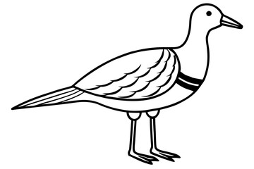 woodcock silhouette line art vector illustration with a white background