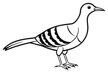 woodcock silhouette line art vector illustration with a white background