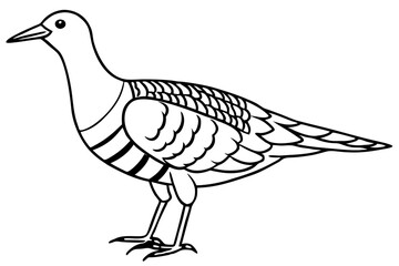 woodcock silhouette line art vector illustration with a white background