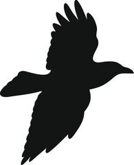 Obraz premium Bird Silhouette Svg 