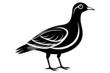 woodcock silhouette line art vector illustration with a white background