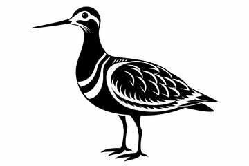 woodcock silhouette line art vector illustration with a white background