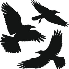 Obraz premium Bird Silhouette Svg 