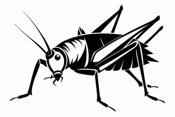 katydid silhouette line art vector illustration with a white background