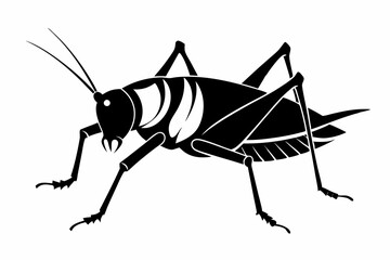 katydid silhouette line art vector illustration with a white background