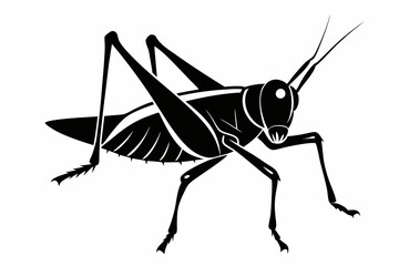 katydid silhouette line art vector illustration with a white background