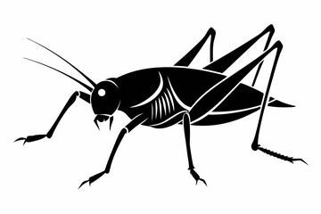 katydid silhouette line art vector illustration with a white background