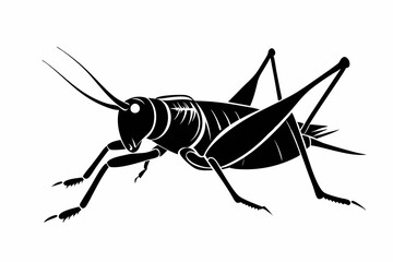 katydid silhouette line art vector illustration with a white background