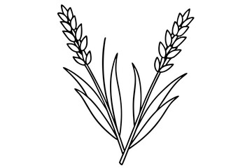 lavender silhouette line art vector illustration with a white background