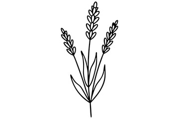 lavender silhouette line art vector illustration with a white background