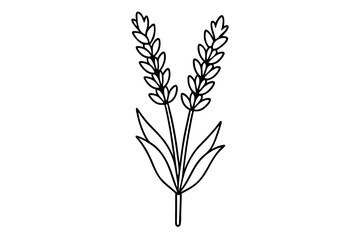 lavender silhouette line art vector illustration with a white background