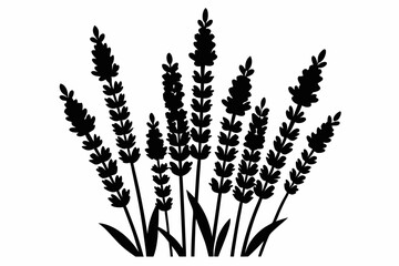 lavender silhouette line art vector illustration with a white background
