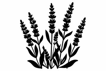 lavender silhouette line art vector illustration with a white background