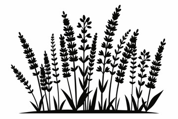 lavender silhouette line art vector illustration with a white background