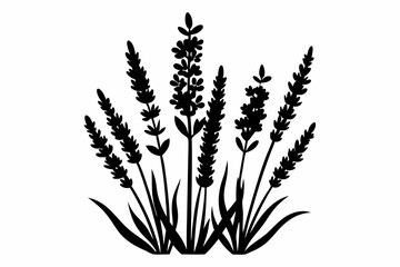 lavender silhouette line art vector illustration with a white background